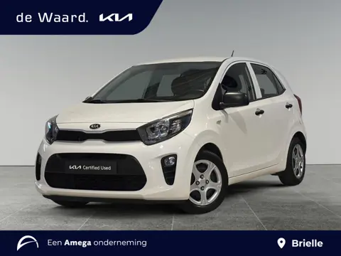 Kia Picanto ComfortLine 1.0 CVVT 67pk | 5-ZITS | ALL SEASON BANDEN | APPLE CARPLAY / ANDROID AUTO | 