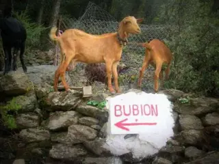 Vakantiehuis in sierra nevada spanje