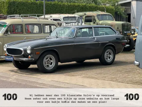 Volvo 1800 ES Palmen Collectie! Origineel Goud!