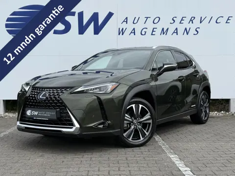 Lexus UX 250h Preference Line | ACC | CarPlay | Dodehoek | Keyless | 18 inch