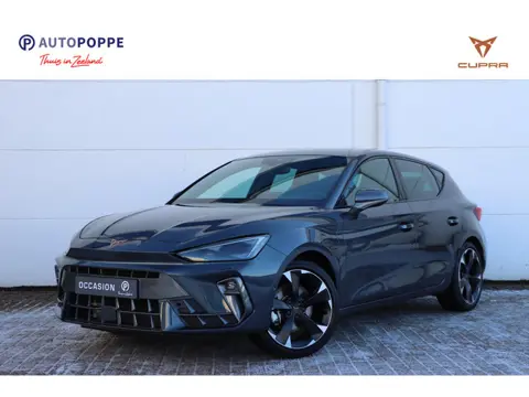 CUPRA Leon 1.5 TSI e-Hybrid Business 204pk DSG6