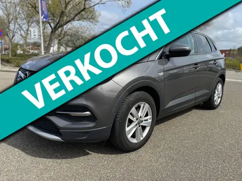 Opel Grandland X 1.2 Turbo Business Executive / 1e.eigenaar / distributie.vervangen / historie / air