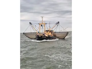 DEO VOLENTE Fishing boat - Eurocutter PBBQ DEO VOLENTE TH 119 - Vissersboot - Eurokotter - Boomkorvi
