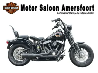 Harley-Davidson FLSTSB SOFTAIL CROSS BONES / CROSSBONES