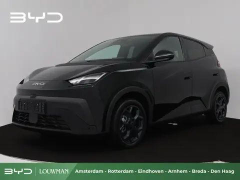 BYD DOLPHIN SURF Boost 43 kWh Direct uit voorraad leverbaar!