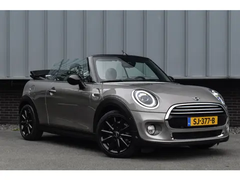 MINI Cabrio 1.5 Cooper Chili | Leder | NL Auto | Carplay | Keyless | Dealer. OH