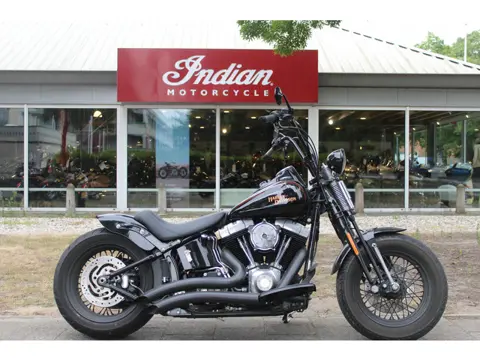 Harley-Davidson Softail  FLSTSB Crossbones