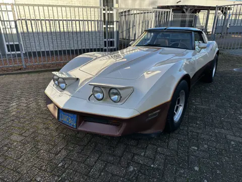 Chevrolet Corvette C3 5.7L (350 ci) V8 (bj 1981, automaat)