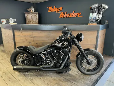 Harley Davidson FLS Softail Slim Custom Special Paint Custom Rear 200
