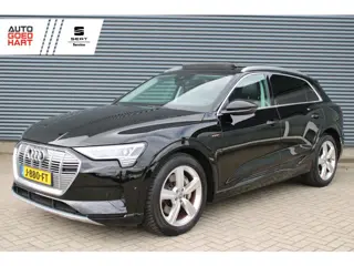 Audi e-tron 55 Quattro 95 kWh Leer Panoramadak Adaptive-Cruis Camera