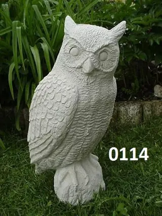 Grote uil een aanwinst voor de tuin ( 0114 )