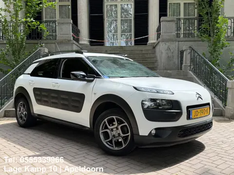 Citroen C4 Cactus 1.2 PureTech Shine Carplay Camera Climate Cruise Ctr Trekhaak