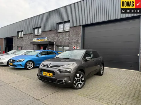Citroën C4 Cactus 130 PK Business Plus | 1E EIGENAAR | 12MND GARANTIE | AUTOMAAT | CRUISE | CARPLAY 