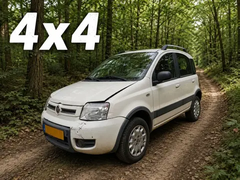 Fiat Panda 1.2 Climbing 4x4