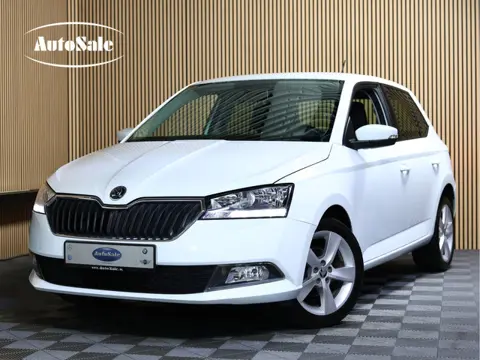 Škoda Fabia AVM AIRCO BLUETOOTH STOELVW PDC "19 (bj 2019)
