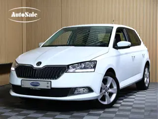 Škoda Fabia AVM AIRCO BLUETOOTH STOELVW PDC "19 (bj 2019)
