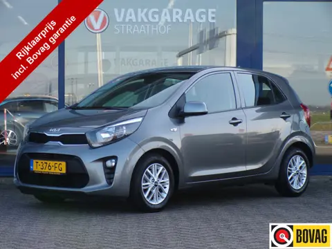 Kia Picanto 1.0 DPi DynamicLine, Carplay + Android auto / Camera / Cruise Control / 5-Deurs / 14'' L