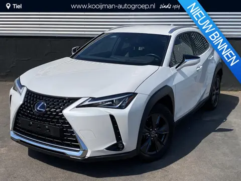 Lexus UX 250h Comfort Business Apple Carplay en/of Android auto navigatie, Achteruitrijcamera, LMV, 