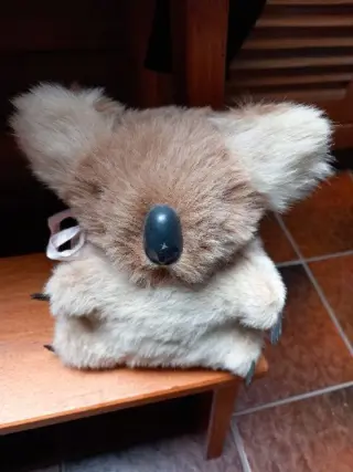 Koala beertje uit Australie - grijs - 13cm. - bruin - 17 cm.