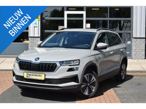 Skoda Karoq 1.0 TSI Business Edition Carplay/Navi Airco Camera Km 54.500!!