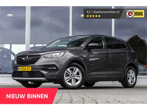 Opel Grandland X 1.2 Turbo Business Executive Binnen ATP