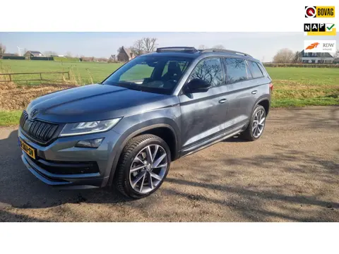 Skoda Kodiaq 1.5 TSI Sportline Business, pano, 1e eig. trekhaak
