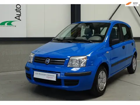 Fiat Panda 1.2 DYNAMIC/NWE APK/NWE BANDEN/ DIS. RIEM VERV./ MEENEEMPRIJS !!