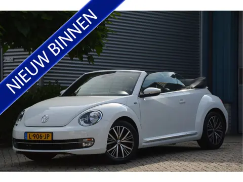 Volkswagen Beetle Cabriolet 1.2 TSI Allstar BlueMotion CLIMA | CAMERA | NAVI | PDC | STOELVERW. | CR