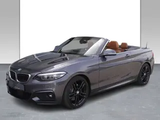 BMW 2 Serie Cabrio 230iA M-SPORT ** LED, NAVI+, COGNAC LEDER, TREKH, SPIEGEL, ALARM, H&K  ** UNFALLF