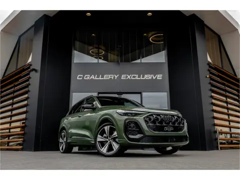 Audi Q5 2.0 TFSI e-hybrid quattro S edition - S Line | Panorama | Tech Plus | Passenger Display | 36