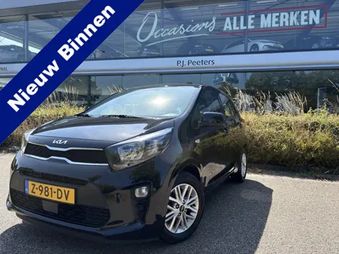 Kia Picanto 1.0 DPi DynamicLine Achteruitrijcamera - Apple carplay - Airco - Cruise control - Naviga