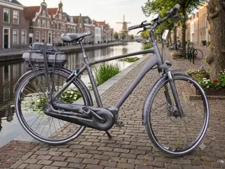 Giant Entour + Framemaat L 55 cm 500 WH accu
