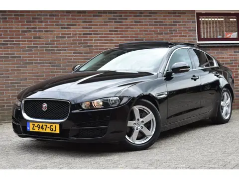Jaguar XE 2.0 Portfolio '16 Pano Clima Navi Cruise Leder Inruil mogelijk