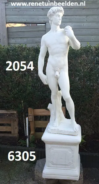 Davit. Michelangelo met zuil. nr 2054 & 6305.