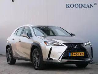 Lexus UX 250h Business Line 262Pk Winterpakket / Camera / Apple Carplay / Adaptive Cruise