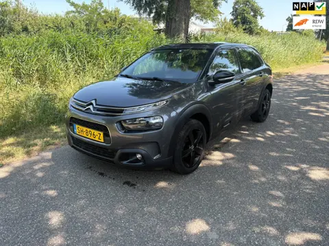 Citroen C4 Cactus 1.2 PureTech Business Airco Navi Cruise Apple Carplay PDC