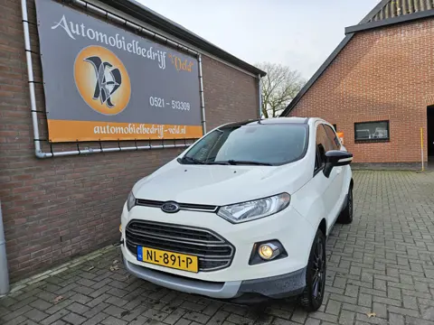 Ford EcoSport 1.0 EcoBoost Titanium S (motor defect)