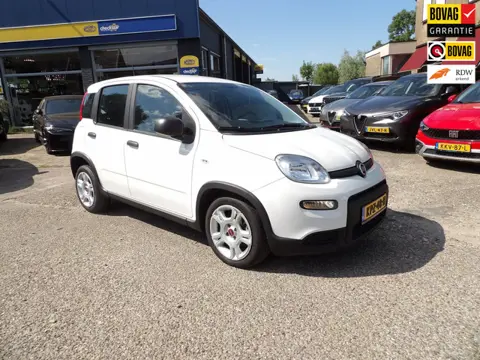 Fiat Panda 1.0 Hybrid Urban / Airco / Rijklaarprijs