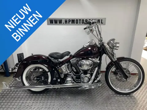 Harley-Davidson FXST STANDARD MEXICAN STYLE 1450 BOVAGGARA