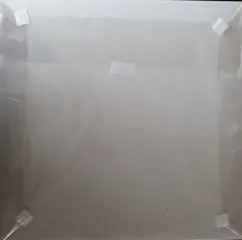 James Rizzi (1950-2011) - RIZZI BIRD- original drawing 1999