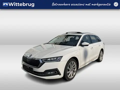 Škoda Octavia Combi 1.4 TSI iV PHEV Life / AUTOMAAT/ PANO/ MEMORY SEAT/ HEAD-UP/ ACC/ DODEHOEK/ PARK