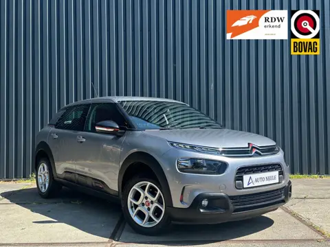 Citroën C4 Cactus 1.2 PureTech 110 pk Business Carplay, Cruise, Sensoren
