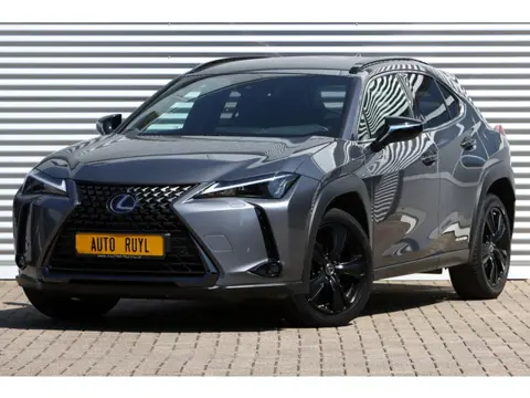 Lexus UX 250h Black Line Leer (bj 2022, automaat)