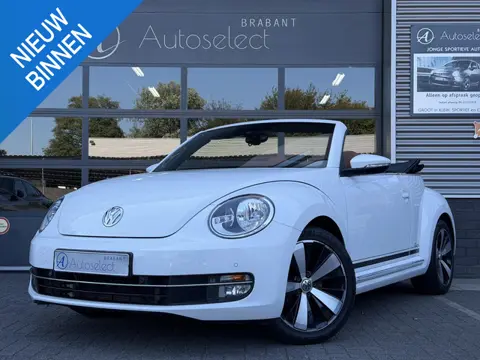 Volkswagen Beetle Cabriolet 1.2 TSI Exclusive Navi | PDC | 1e eigenaar