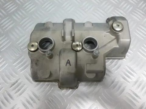 KLEPPENDEKSEL Aprilia RSV 4 2009 - 2010