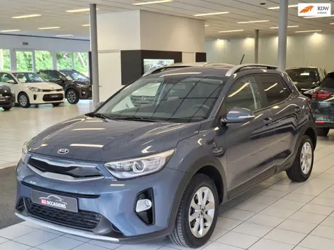 Kia Stonic 1.2 (4 Cil) Apple carplay/Android auto/Camera/Bluetooth/Stoel en stuurverwarming