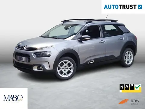 Citroen C4 Cactus 1.2 110PK Business NL Auto|Dealer onderh.|Carplay|Trekhaak|Parkeersensoren
