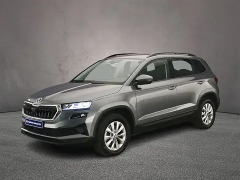Skoda Karoq Business Edition 1.5 TSI 150pk DSG Automaat Achteruitrijcamera, Cruise control, Parkeers