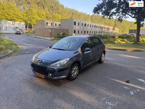 Peugeot 307 1.6-16V XT