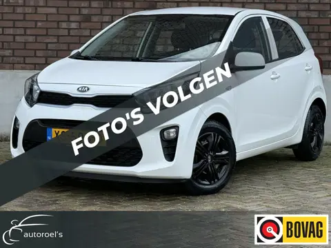 Kia Picanto 1.0 CVVT / Airco / ALL-Season / C.V. met Afstandsbediening + Elek. Pakket / 1e Eigenaar 